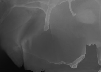 Hand painted black alcohol ink background. Abstract delicate gray texture. Contemporary wallpaper. Fog effect.