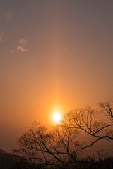 sun pillar in cold sunset
