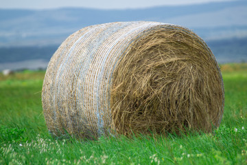 Hay bale on the meadow with blue sky and hills. Farming landscape
