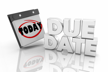 Due Date Calendar Day Circled Reminder 3d Illustration