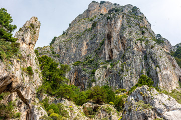 Italy, Capri, view of the coast seen from the sea.