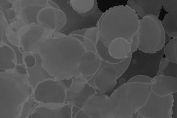 Hand painted black alcohol ink background. Abstract delicate gray texture. Contemporary wallpaper. Fog effect.