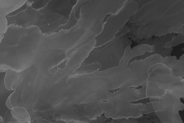 Hand painted black alcohol ink background. Abstract delicate gray texture. Contemporary wallpaper. Fog effect.