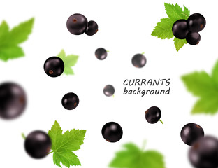 Falling (flying) black currant isolated on transparent background. Vector realistic, 3d illustraton