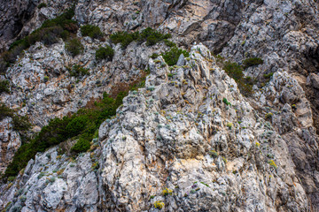 Fototapeta na wymiar Italy, Capri, view of the coast seen from the sea.
