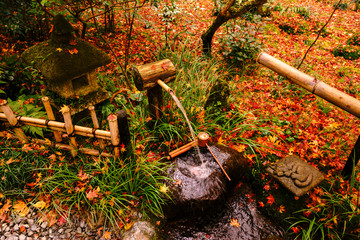 traditional garden flow in japanese garden