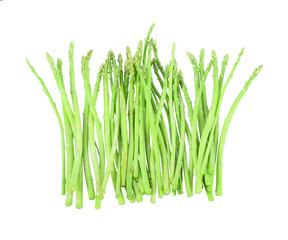 asparagus isolated on a white background