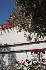 Tibet