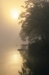 Fototapeta na wymiar sunrise over foggy lake