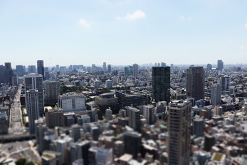 Fototapeta premium 東京タワーのメインデッキより撮影