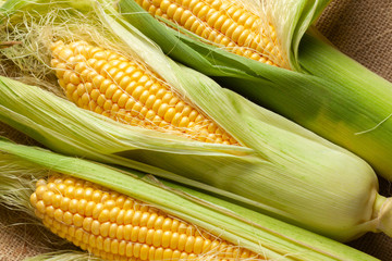 Corn with leaves on burlap