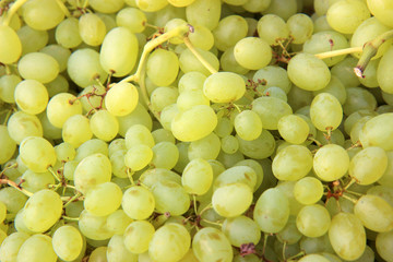 ripe grapes on farmer's market
