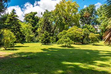 Italy, Naples, botanical garden, floral landscape with rare trees and plants.