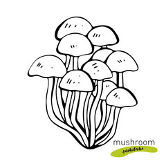 Enokitake mushroom hand drawn vector illustration. Sketch food drawing isolated on white background. Organic vegetarian product. Great for menu, label, product packaging,
