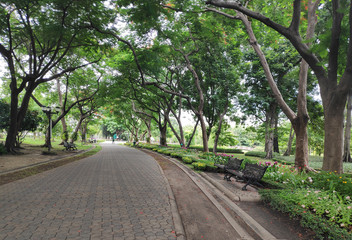 The path in the park, where to exercise or relax surrounded by nature