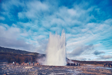 Geyser in Iceland