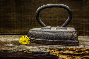 Antigue cast iron.Dandelion emphasizes the antiguity of metal and