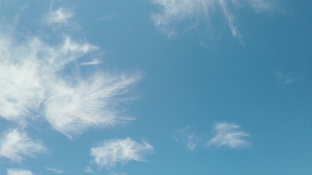 The best cirrus clouds in timelapse with wonderful blue summer sky and soft white plumages fly on the air until clear blue sky for perfect copy space