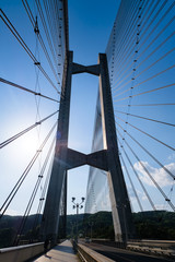 Fototapeta premium 秩父市 秩父ハープ橋