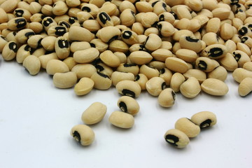 beans isolated on white background