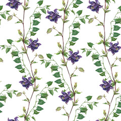 Watercolor botanical pattern, textile design. Seamless pattern. Spring wildflowers, green branches. Wrapping paper, gift wrapping.  Aquilegia flower. Rustic, eco wedding decor, wrapping paper.