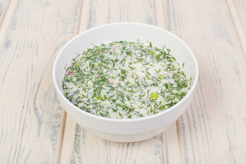 beautiful meat soup in the original design, for use in design	