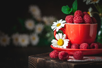 Raspberry in a red cup with chamomile and leaves on a dark background. Summer and healthy food concept. Background with copy space. Selective focus.