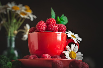 Raspberry in a red cup with chamomile and leaves on a dark background. Summer and healthy food concept. Selective focus.