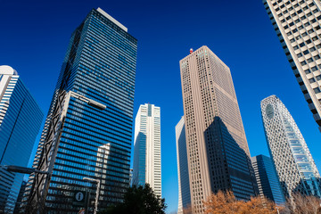 Obraz premium 西新宿 ビル群