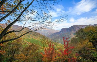 Mountain with leaves turning color - Nikko, Japan