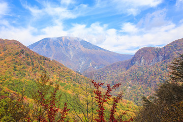 Mountain with leaves turning color - Nikko, Japan