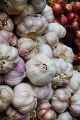White garlic pile texture. Fresh garlic on market table closeup photo. Vitamin healthy food spice image. Spicy cooking ingredient picture. Pile of white garlic heads. White garlic head heap top view