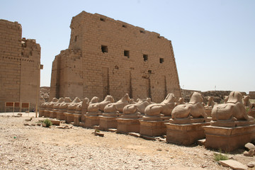 Ram statues at entrance of temple Karnak , old egypt