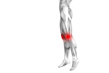 Conceptual knee human anatomy with red hot spot inflammation or articular joint pain for leg health care therapy or sport muscle concepts. 3D illustration man arthritis or bone osteoporosis disease