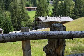 Fototapeta na wymiar Chalet in the middle of the woods of Trentino Alto Adige