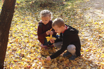Boy and girl collect leaves in a beautiful autumn park.