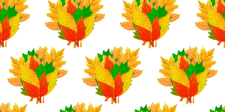 Autumn seamless pattern with bouquet of colorful foliage. Fall backdrop with a banch of yellow, red and green leaves on white background. Hand drawn watercolor illustration. Fabric and textile print