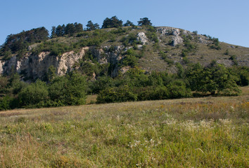 Obraz premium Limestone cliffs of Palava in the Czech Republic