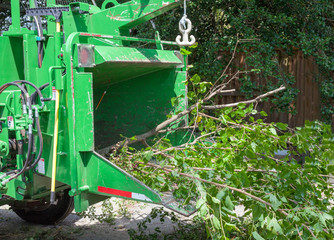 Tree service industrial chipper mulching branches.