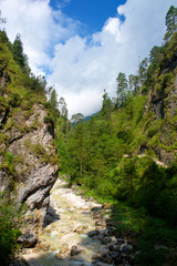 Fototapeta na wymiar Almbachklamm Pass in Berchtesgaden Germany