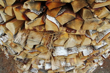 Stacks of wood for fire, in the woods of Trentino Alto Adige