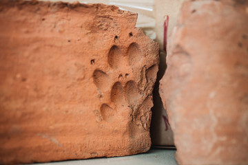 Antique brick from an archaeological expedition with a trace of a dog on it - imprint of a dog’s paw