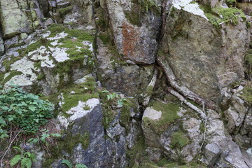 Rocky walls in the Alps of Trentino Alto Adige, in northern Italy