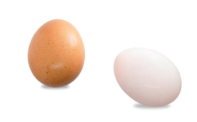 Eggs in a blurred panel