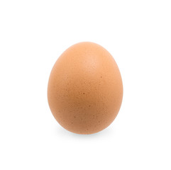 close-up egg chicken