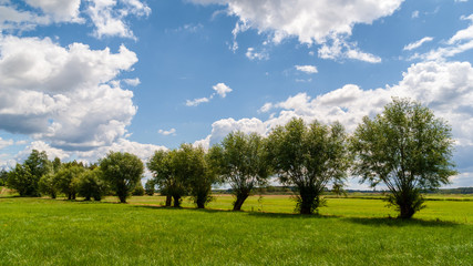 Zielona Dolina Narwi. Lato na Podlasiu © podlaski49