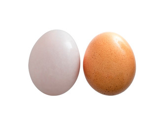 Duck eggs with brown chicken eggs