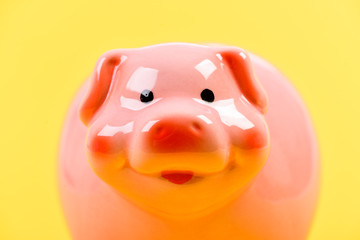 planning budget. income management. financial problem. piggy bank on yellow background. money saving. Budget crisis. Planning budget. Business problem. I love money and they love me