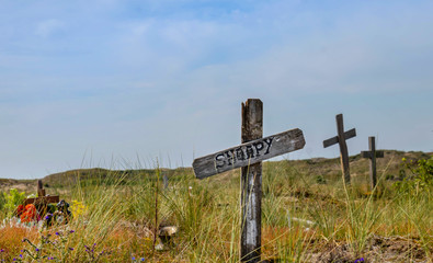 hundefriedhof Grabstein Trauer Norderney