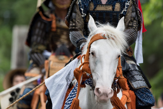 騎馬武者 の写真 ロイヤリティフリーの画像 グラフィック ベクターおよびビデオ Adobe Stock